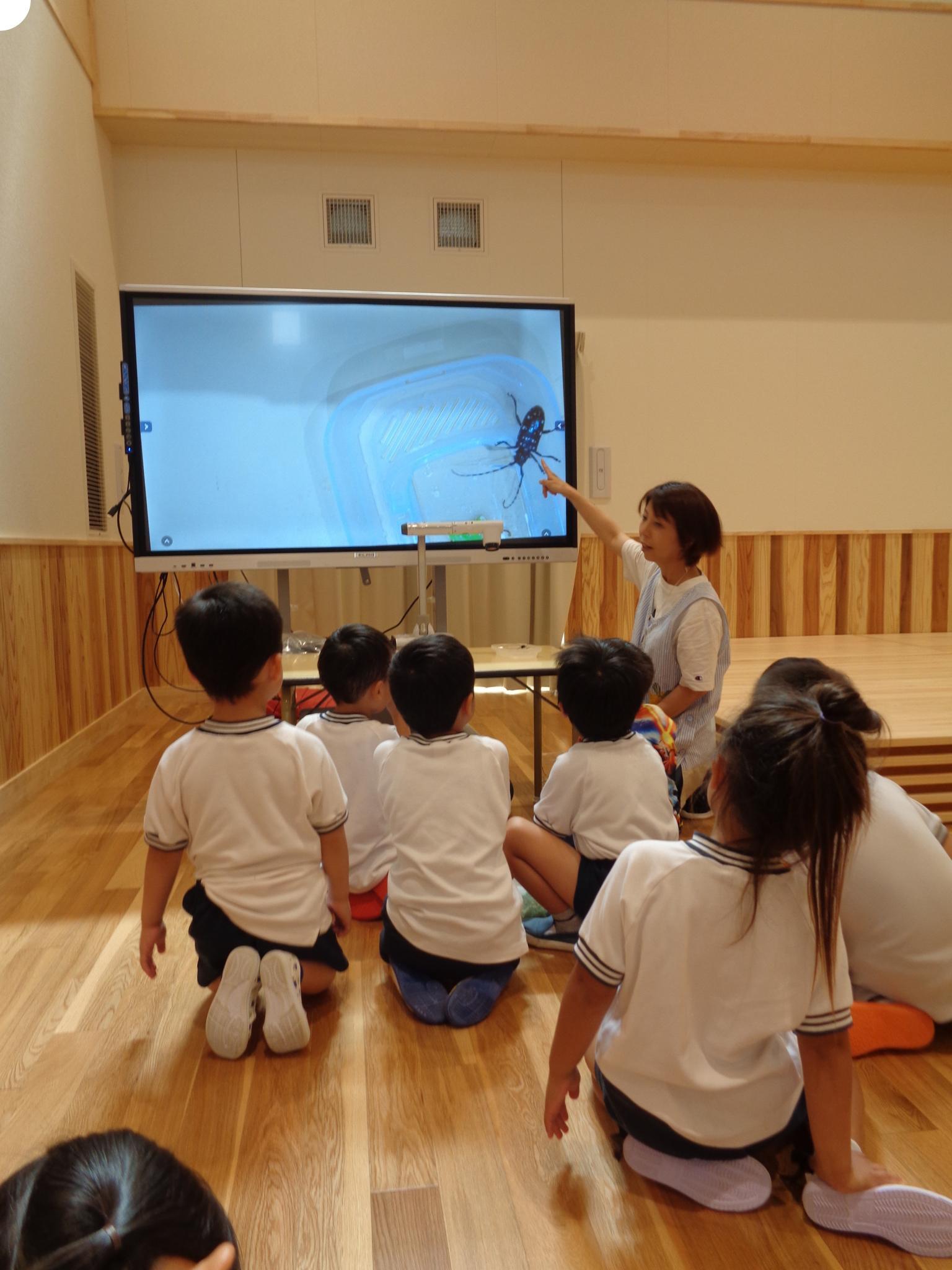 ホールで遊んだよ（さくら）