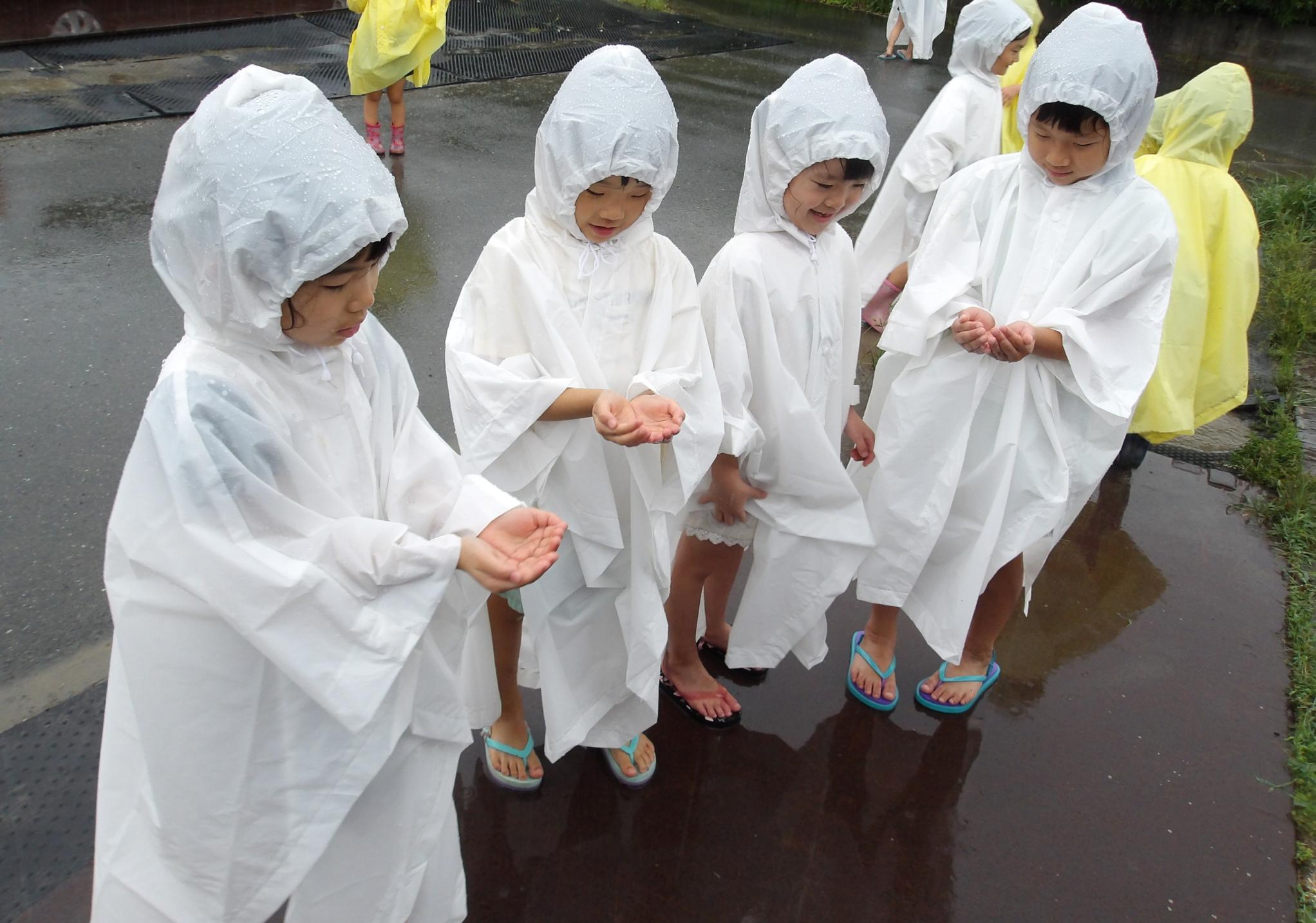 雨降り散歩②